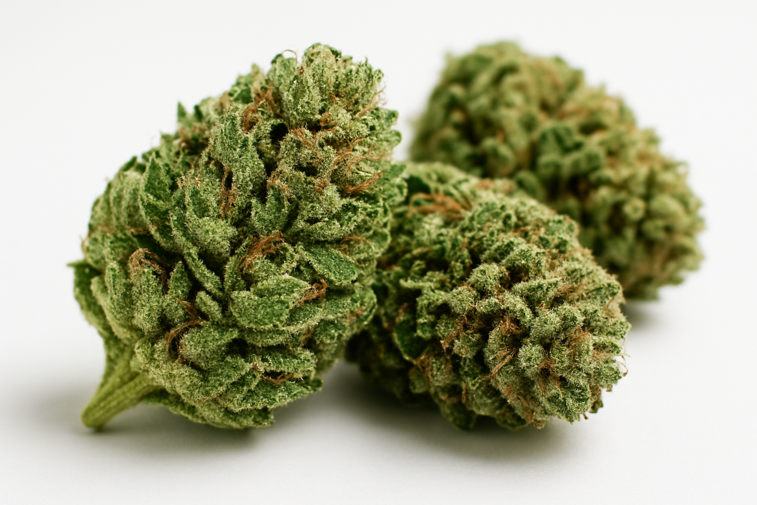 CBD flowers
