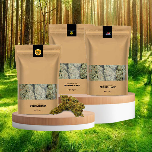 Haze Bundle